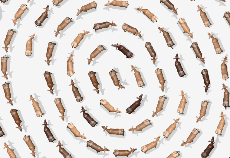 Purina 動(dòng)物飼料平面創(chuàng)意廣告設(shè)計(jì)“指紋-黃?！碧貙?xiě)