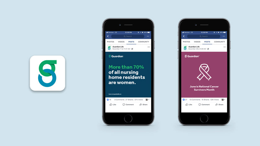 衛(wèi)士人壽保險(xiǎn)公司logo設(shè)計(jì) 衛(wèi)士人壽保險(xiǎn)公司logo設(shè)計(jì)