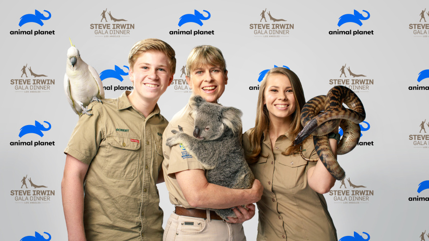 Haviv的動物星球電視頻道新logo設(shè)計,與地球同在的大象 Haviv的動物星球電視頻道新logo設(shè)計,與地球同在的大象