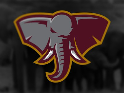 大象吉祥物logo設(shè)計-上海logo設(shè)計公司