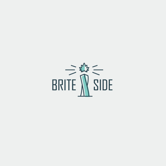 Brite Side的組合標(biāo)志設(shè)計(jì)-上海Logo設(shè)計(jì)公司logo設(shè)計(jì)最終指南