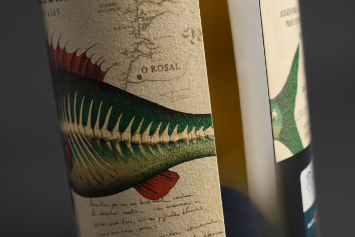 Albari?o 葡萄酒包裝設(shè)計(jì)，復(fù)古的魚(yú)插畫(huà)標(biāo)簽風(fēng)格