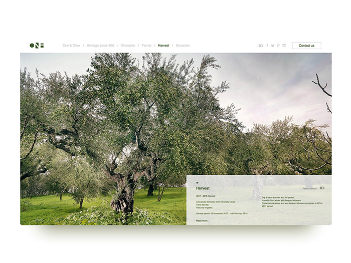 One & Olive 希臘特級(jí)初榨橄欖油網(wǎng)站設(shè)計(jì)-上海網(wǎng)站設(shè)計(jì)建設(shè)公司