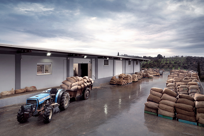 One & Olive 希臘特級(jí)初榨橄欖油品牌設(shè)計(jì)包裝設(shè)計(jì)