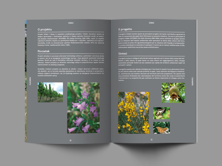 SIGMA2—Brochure畫冊設計-上海畫冊設計公司-尚略廣告