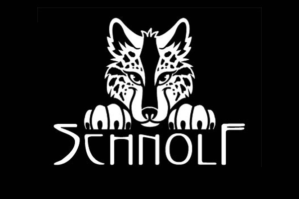 手繪狼形的企業(yè)logo設(shè)計(jì)-上海logo設(shè)計(jì)公司靈感