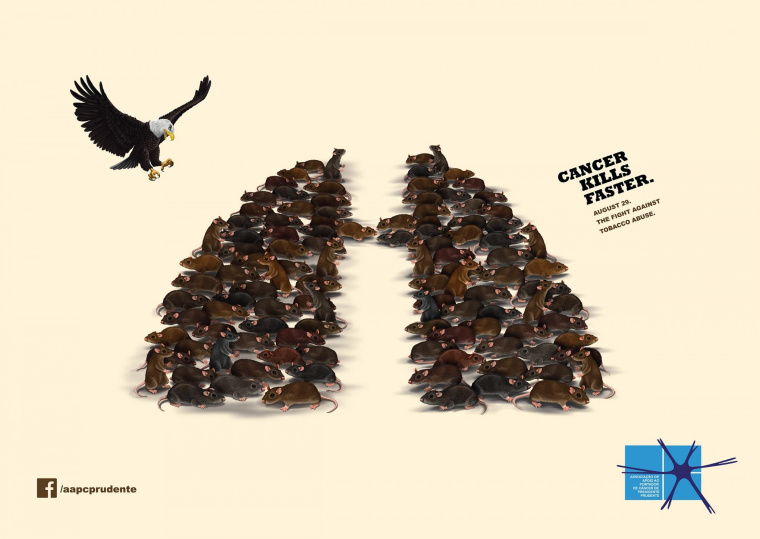 AAPC公益平面創(chuàng)意廣告吸煙引發(fā)肺癌之天敵篇之天敵賞析-鷹