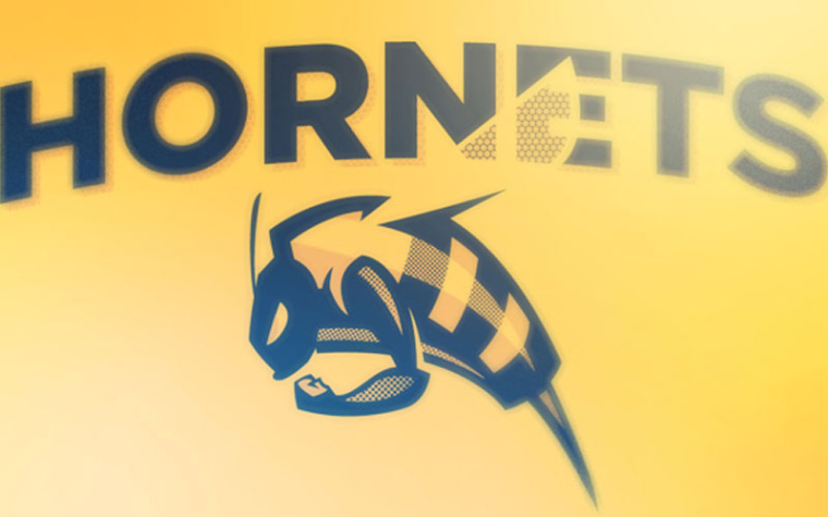 大黃蜂足球隊(duì)logo設(shè)計(jì)-上海logo設(shè)計(jì)公司