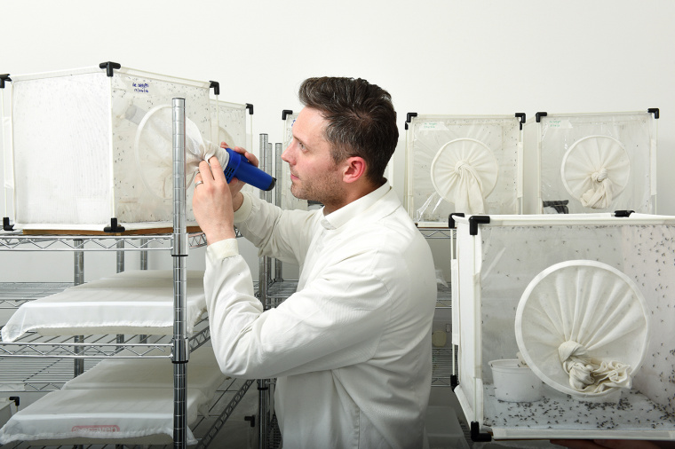 倫敦衛(wèi)生與熱帶醫(yī)學(xué)院大學(xué)品牌形象設(shè)計(jì)