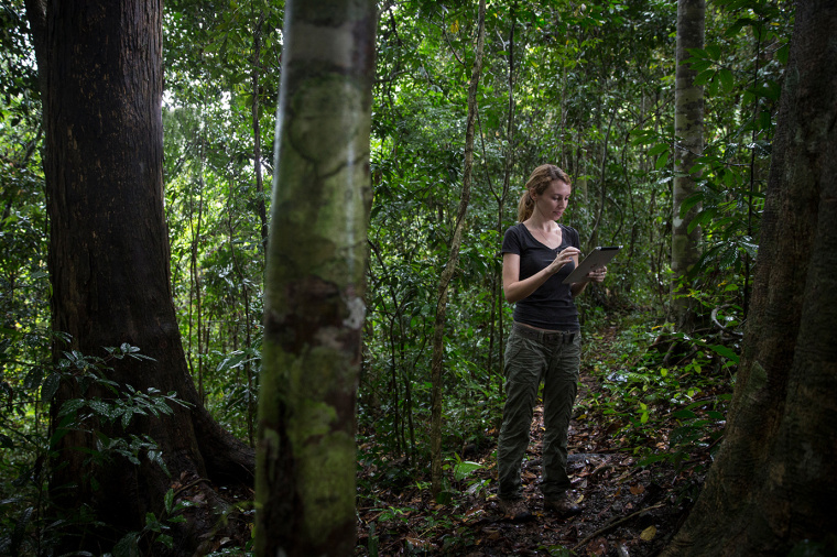 倫敦衛(wèi)生與熱帶醫(yī)學(xué)院大學(xué)品牌形象設(shè)計(jì)