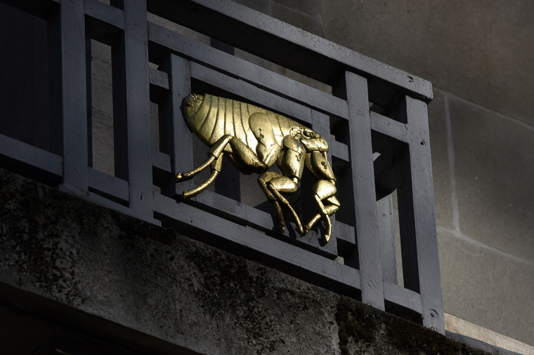 倫敦衛(wèi)生與熱帶醫(yī)學(xué)院大學(xué)品牌形象設(shè)計(jì)