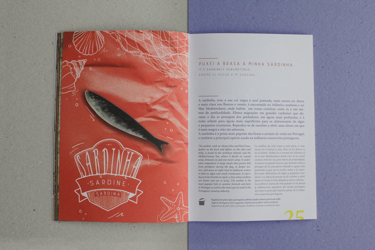 上海宣傳冊設計公司分享：報紙風格魚標本宣傳冊設計