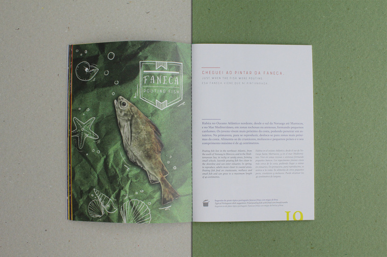 上海宣傳冊設計公司分享：報紙風格魚標本宣傳冊設計