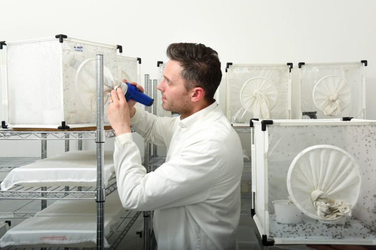 LSHTM醫(yī)學學院大學品牌形象設計VI設計