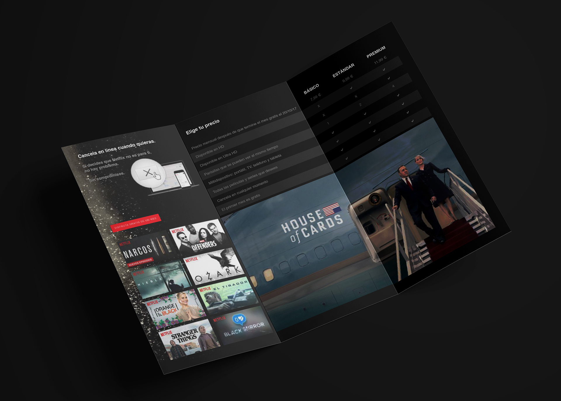 在線影片租賃提供商NETFLIX折頁宣傳手冊設計“黑紅配色”