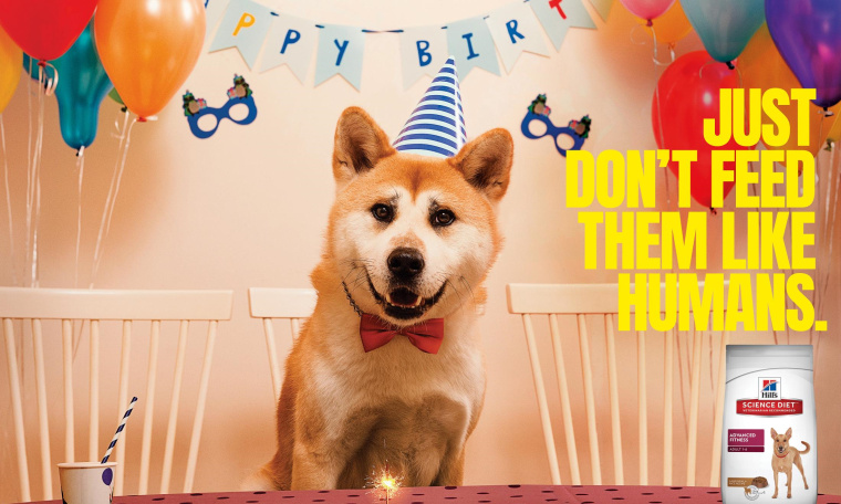 Hill‘s寵物食品擬人化平面創(chuàng)意廣告設(shè)計(jì)“不要像人類一樣喂養(yǎng)它們”