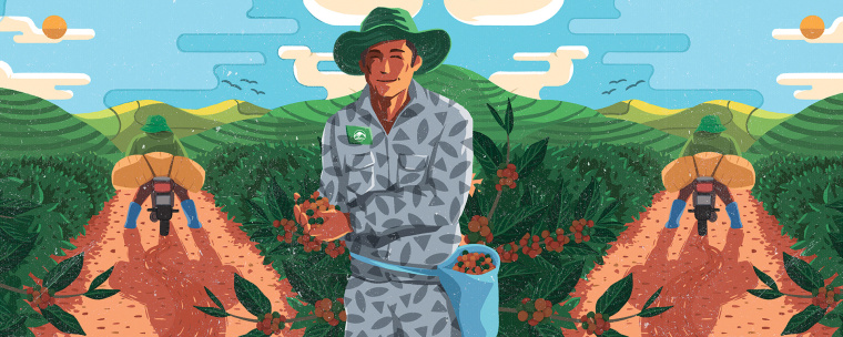 Cau Dat 農(nóng)場咖啡茶葉包裝設(shè)計，采用環(huán)繞農(nóng)場的插畫設(shè)計將全景感受融入其中