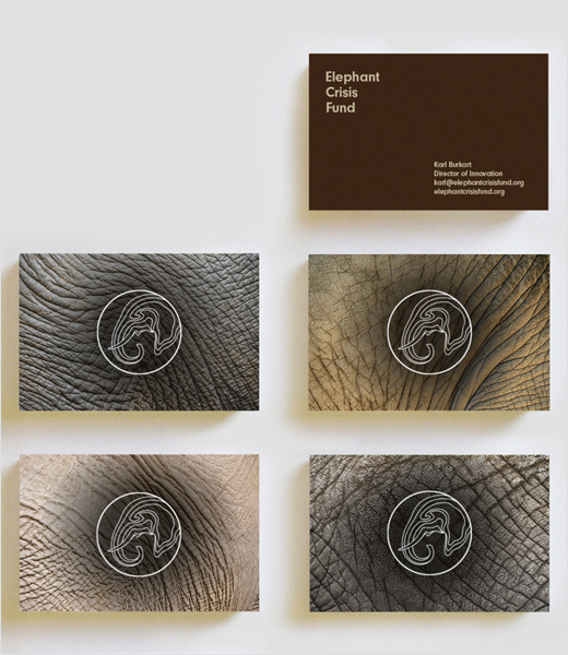 LDF大象動(dòng)物保護(hù)基金會(huì)標(biāo)志設(shè)計(jì)