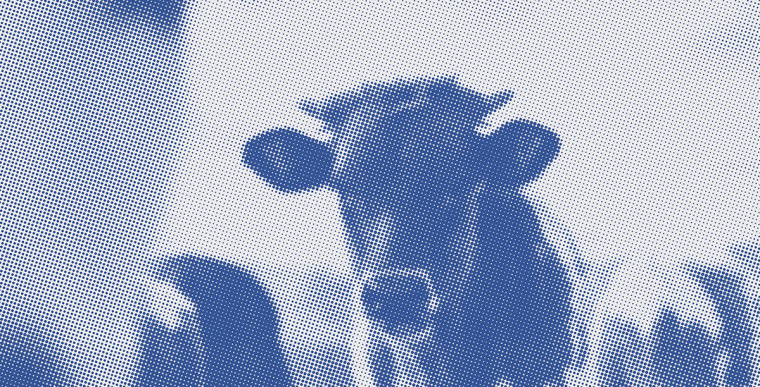 Peacock獸醫(yī)藥物品牌形象VI設(shè)計logo設(shè)計，孔雀的矢量化圖案