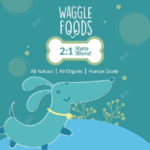 搖擺寵物食品包裝設(shè)計(jì)--上海品牌設(shè)計(jì)公司