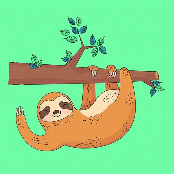 懶惰樹懶吉祥物設(shè)計(jì)--上海品牌設(shè)計(jì)公司