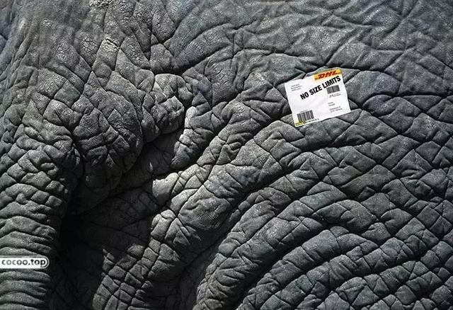 廣告創(chuàng)意的六大原則-上海尚略廣告策劃公司 廣告創(chuàng)意的六大原則-上海尚略廣告策劃公司