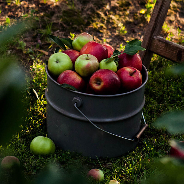 Studio Otwarte 壓榨純果汁包裝設(shè)計(jì)