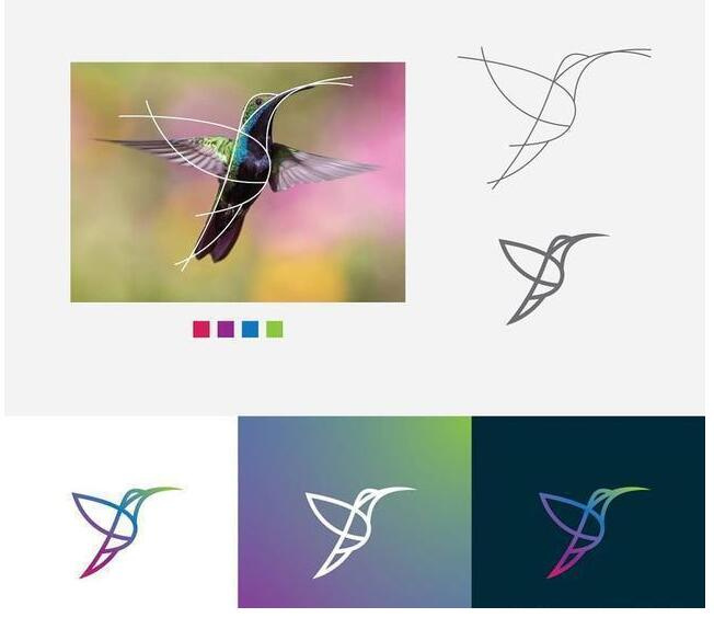 logo設(shè)計(jì)過程圖示揭示logo設(shè)計(jì)靈感-蜂鳥線條logo設(shè)計(jì)靈感 logo設(shè)計(jì)過程圖示揭示logo設(shè)計(jì)靈感-蜂鳥線條logo設(shè)計(jì)靈感