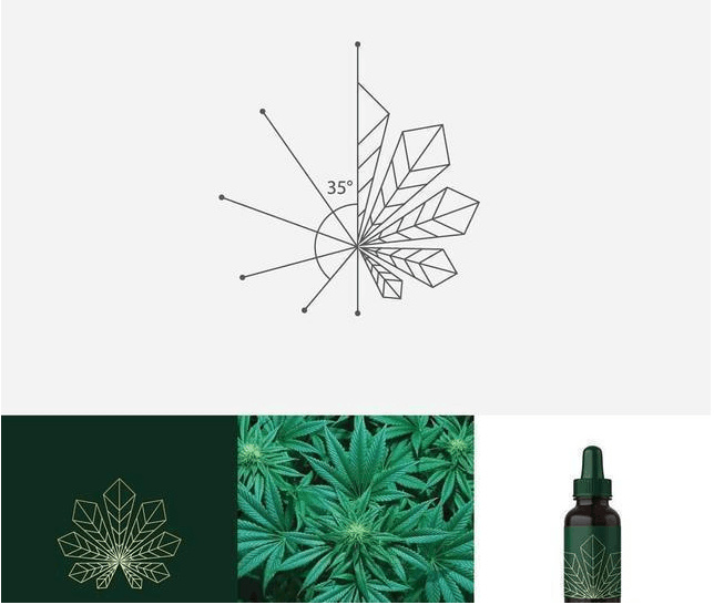 logo設(shè)計(jì)過程圖示揭示logo設(shè)計(jì)靈感-植物+線條 精油logo設(shè)計(jì)靈感 logo設(shè)計(jì)過程圖示揭示logo設(shè)計(jì)靈感-植物+線條 精油logo設(shè)計(jì)靈感