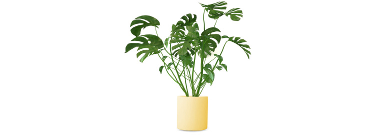 hl group 品牌涂料油漆建材宣傳手冊(cè)設(shè)計(jì)，豐富的多色彩設(shè)計(jì)