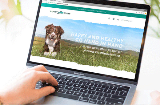 Happy Go Healthy寵物狗保健營(yíng)養(yǎng)補(bǔ)充劑品牌策劃-包裝設(shè)計(jì)