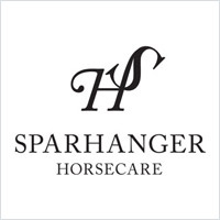 字母與字母傾斜結(jié)合的字母logo