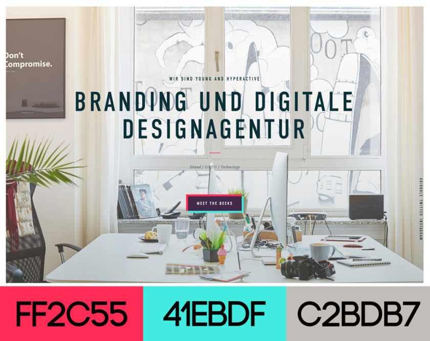 網(wǎng)站設(shè)計(jì)配色方案-年輕而活躍