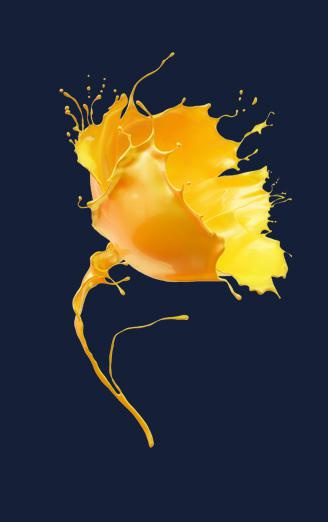 TIKKURILA 室內(nèi)油漆涂料包裝設(shè)計(jì)”飛濺的鳥(niǎo)與花“