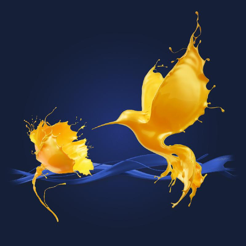 TIKKURILA 室內(nèi)油漆涂料包裝設(shè)計(jì)”飛濺的鳥(niǎo)與花“