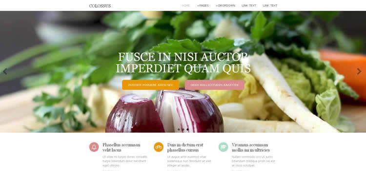 巨像清潔html5屏幕分辨率模板網(wǎng)站響應(yīng)