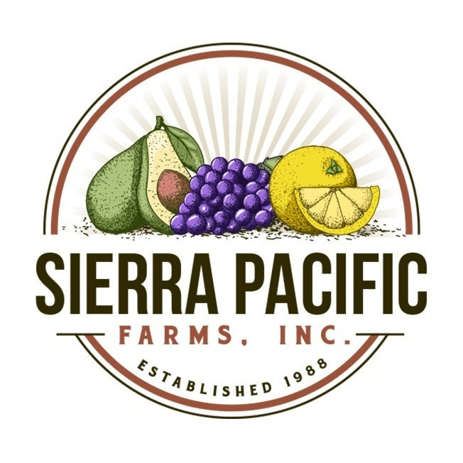 大膽的對比色會徽logo設(shè)計-鱷梨，葡萄和檸檬彼此相鄰，帶有文字的徽標(biāo)logo