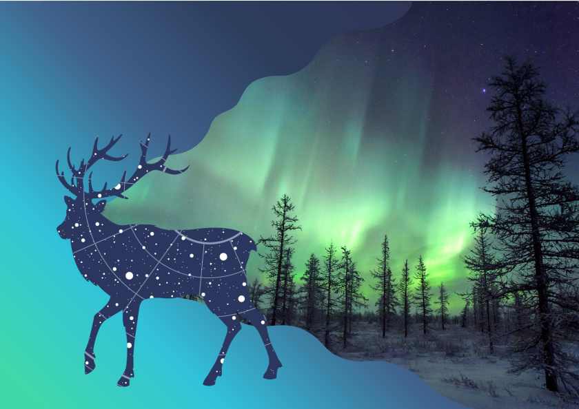 Yakut 袋裝面包烘培產(chǎn)品包裝設(shè)計(jì)，動(dòng)物星空北極光圖形