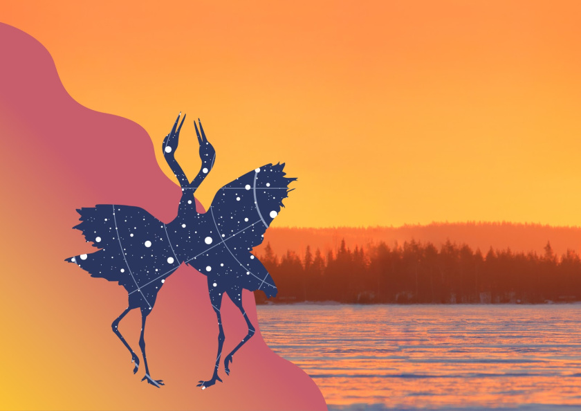 Yakut 袋裝面包烘培產(chǎn)品包裝設(shè)計，動物星空北極光圖形