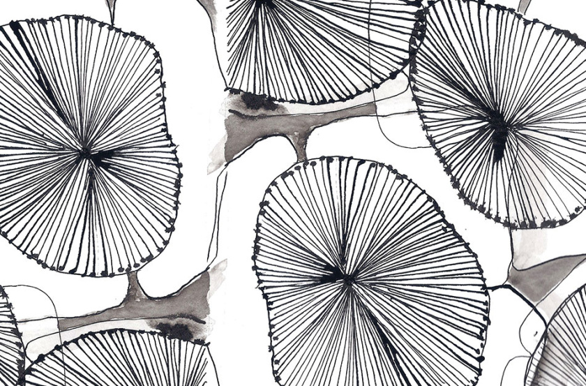 Tiosk茶飲餐飲品牌形象設(shè)計(jì)，水墨線條畫風(fēng)格