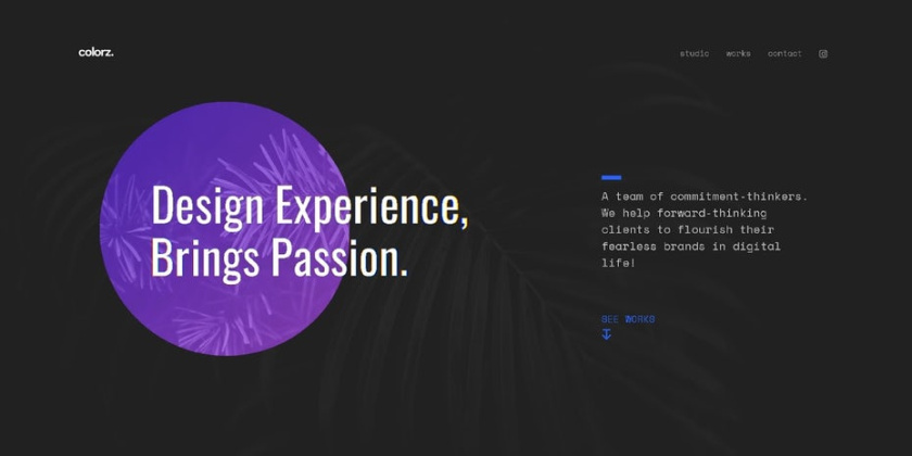 美麗的網(wǎng)站，簡潔優(yōu)雅的設(shè)計