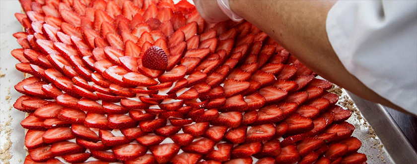 panamera 面包店品牌形象更新設(shè)計(jì)--logo設(shè)計(jì)