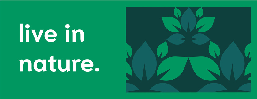 Bostaan 景觀公司logo設(shè)計(jì)與vi設(shè)計(jì)，矢量化幾何風(fēng)格綠葉與根須