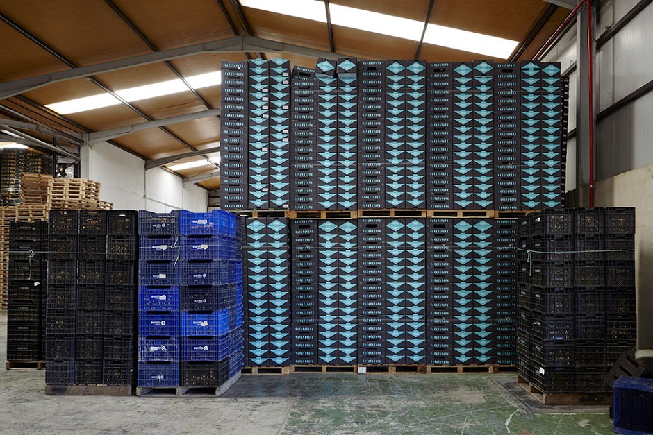 FORêT杏桃水果包裝設(shè)計，采用森林樹木的抽象圖形