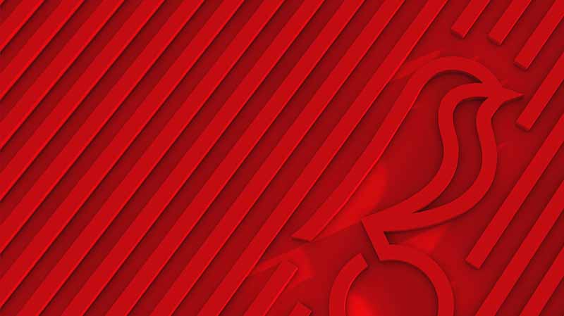 Bristol City足球俱樂(lè)部知更鳥(niǎo)新logo設(shè)計(jì)，讓品牌充滿視覺(jué)識(shí)別性