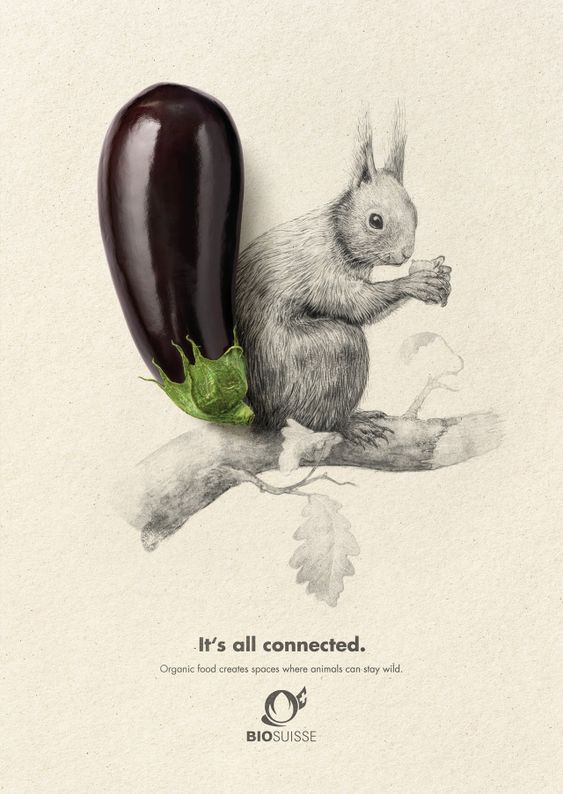 BIOSUISSE有機農(nóng)業(yè)農(nóng)產(chǎn)品平面廣告設(shè)計,素描動物愛上有機食品 BIOSUISSE有機農(nóng)業(yè)農(nóng)產(chǎn)品平面廣告設(shè)計,素描動物愛上有機食品