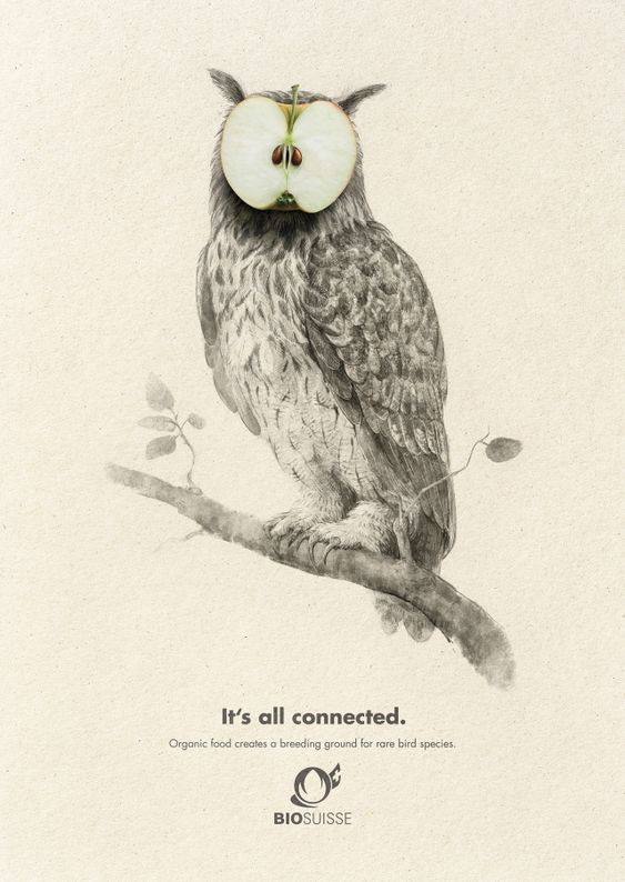 BIOSUISSE有機農(nóng)業(yè)農(nóng)產(chǎn)品平面廣告設(shè)計,素描動物愛上有機食品 BIOSUISSE有機農(nóng)業(yè)農(nóng)產(chǎn)品平面廣告設(shè)計,素描動物愛上有機食品