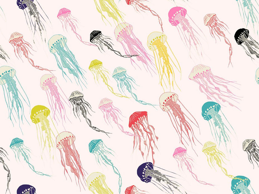 彩虹水母圖案設(shè)計