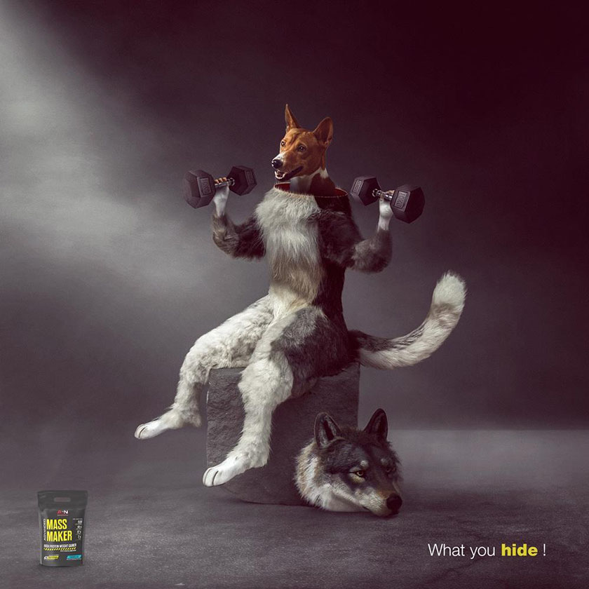 Advanced Sports Nutrition高級運(yùn)動營養(yǎng)食品平面廣告設(shè)計,在對比中逆襲身材 Advanced Sports Nutrition高級運(yùn)動營養(yǎng)食品平面廣告設(shè)計,在對比中逆襲身材