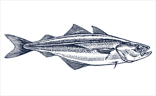 海魚插畫圖片 海魚插畫圖片